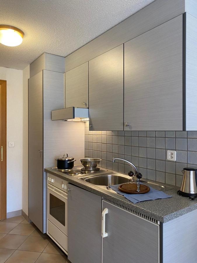 St Martin Apartments Täsch Екстериор снимка